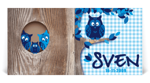 geboortekaart illustratie vogels uil
