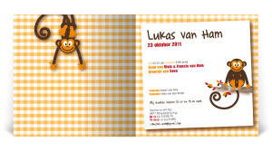 geboortekaart illustratie aapjes