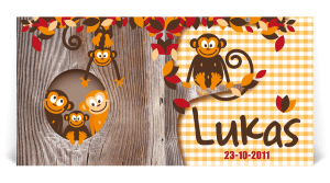 geboortekaart illustratie aapjes