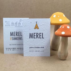 merel geboortekaartje groeipapier