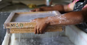 groeipapier productie