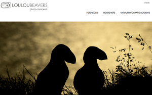 huisstijl ontwerp website