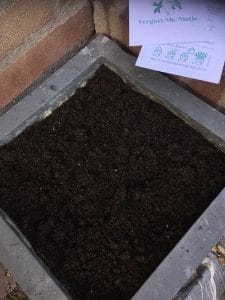 vergeet mij niet groeikaart