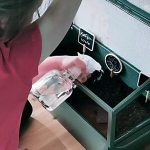 plantbare kaart groeipapier kattenkruid catnip