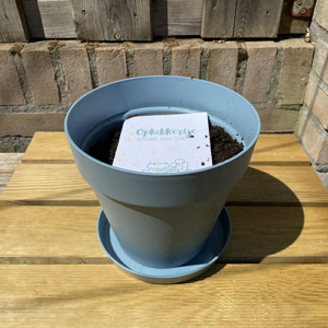 plantbare groeikaart met klaverzaden