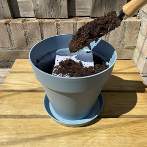 plantbare groeikaart met klaverzaden planten